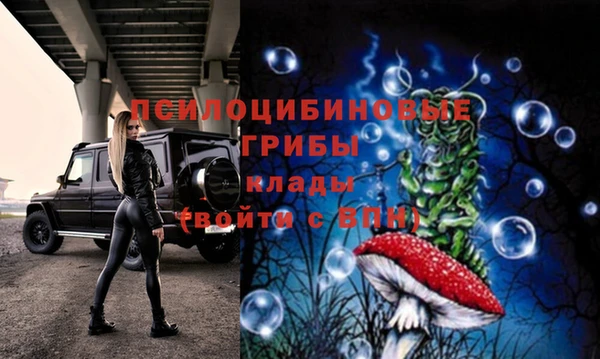 дмт Верхний Тагил